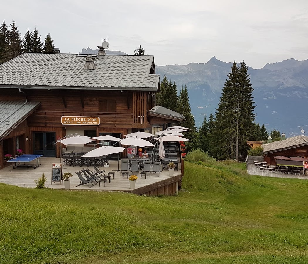 Hotel La Flèche d' Or 2